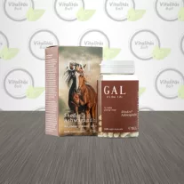 GAL Shoden® Ashwagandha - 60 db
