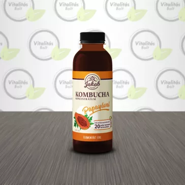 Kombucha koncentrátum PAPAYÁVAL - 500 ml