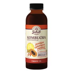 Kombucha C koncentrátum 500 ml