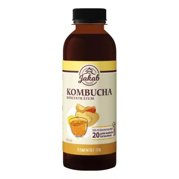 Kombucha koncentrátum Natúr - 500ml