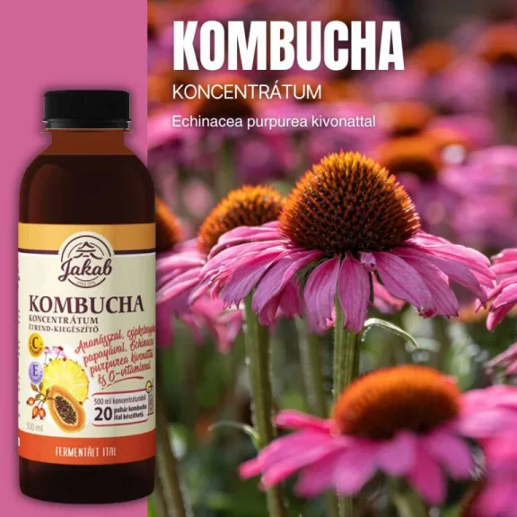 Kombucha koncentrátum echinacea purpurea kivonattal és C-vitaminnal - 500ml