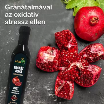 Viva Natura 300% Gránátalma koncentrátum - 700g