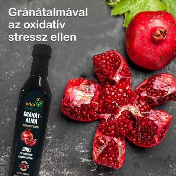 Viva Natura 300% Gránátalma koncentrátum - 700g