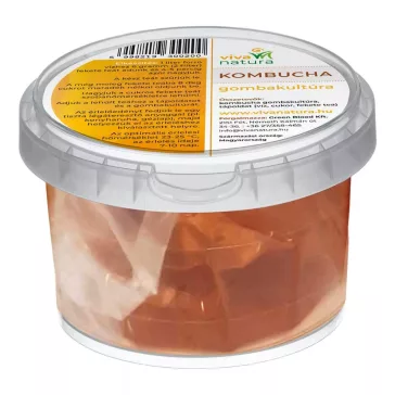 Kombucha gombatenyészet házi felhasználásra - 1 db