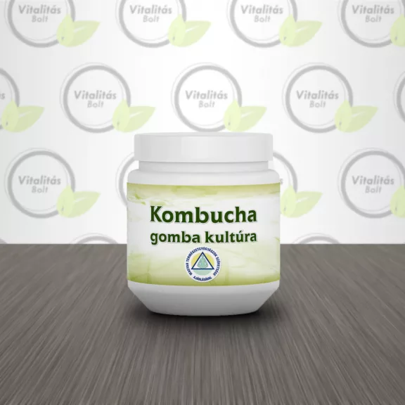 Kombucha gombatenyészet házi felhasználásra - 1 db