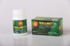 Gallmet-N * epesav kapszula – Natural - 90 db