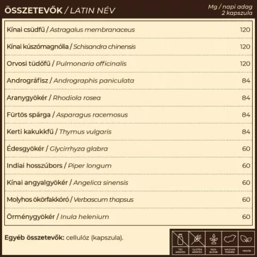 Lung.12 - 60db