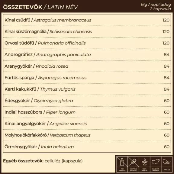 Lung.12 - 60db