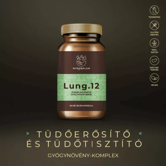 Lung.12 - 60db
