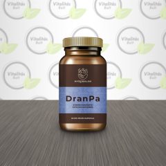 DranPa - 60db