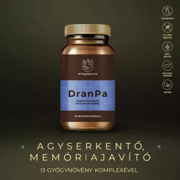 DranPa - 60db