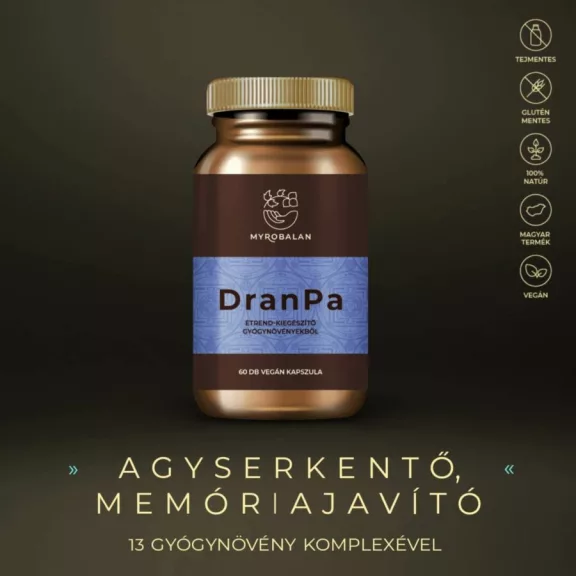 DranPa - 60db