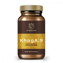 KhogA.9 - 60db