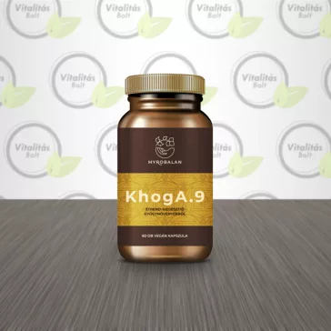KhogA.9 - 60db