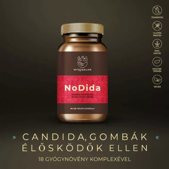 NoDida - 60db