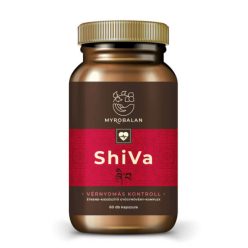 ShiVa - 60db