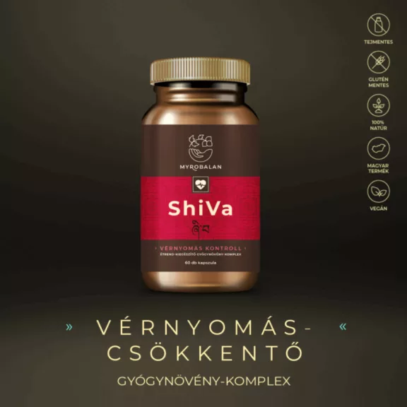 ShiVa - 60db Sérült/Lejáratközeli