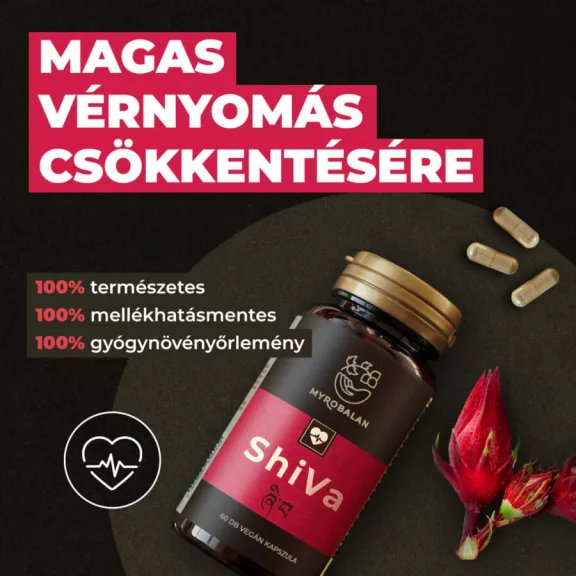 ShiVa - 60db Sérült/Lejáratközeli