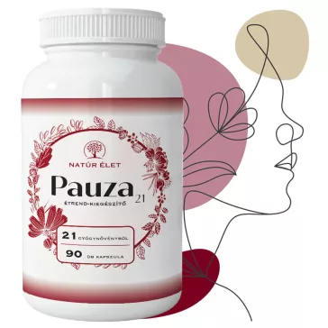 Pauza - 90 db