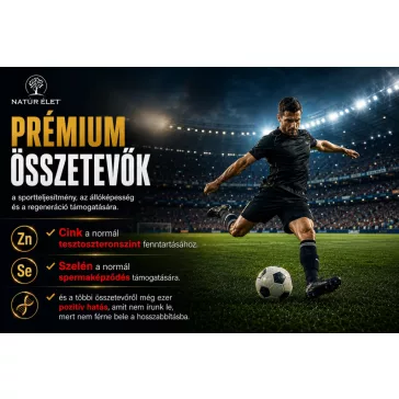 Football Force - 90 db