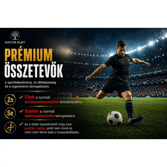 Football Force - 90 db