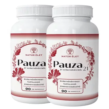 Pauza - 2x 90 db