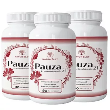Pauza - 3x 90 db