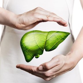 Méregtelenítés, máj