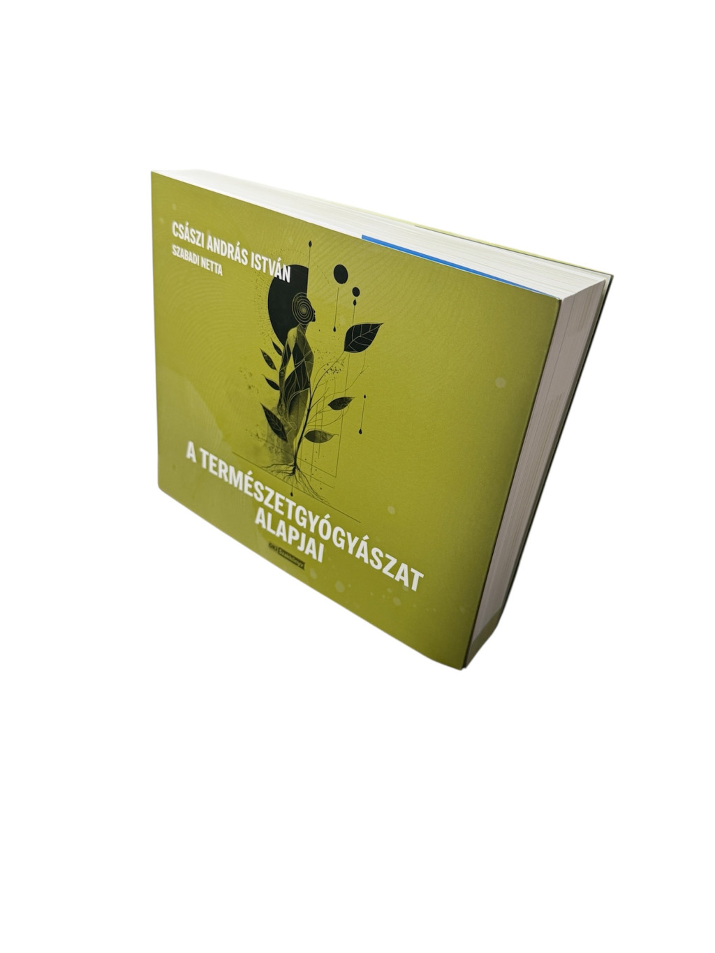 Image of A természetgyógyászat alapjai könyv - 1db