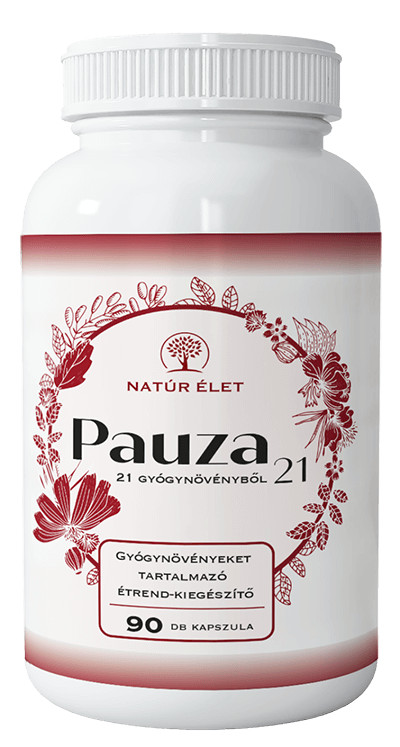 Image of Pauza - 90 db