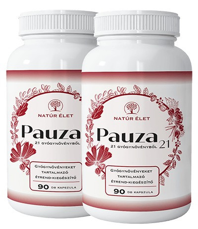 Image of Pauza - 2x 90 db
